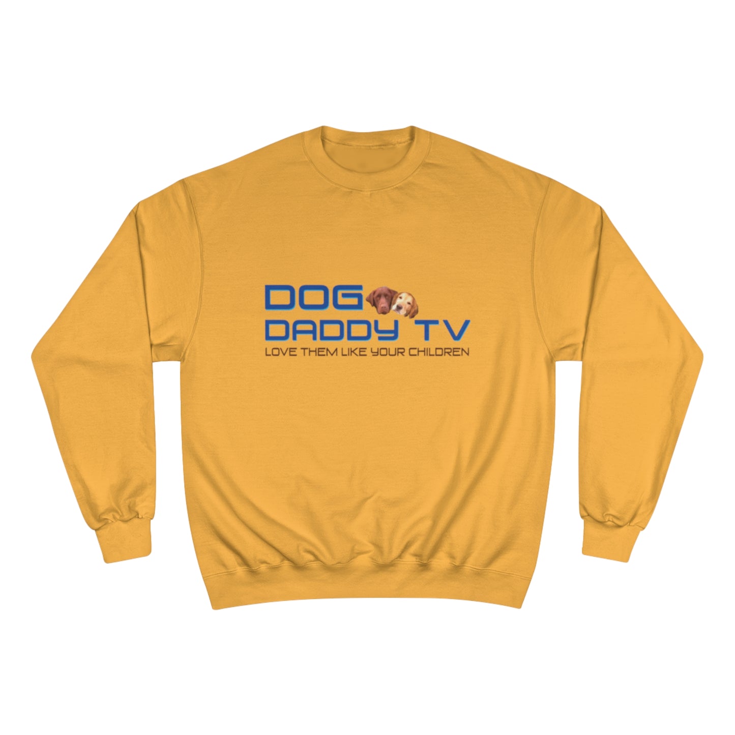 Champion Sweatshirt