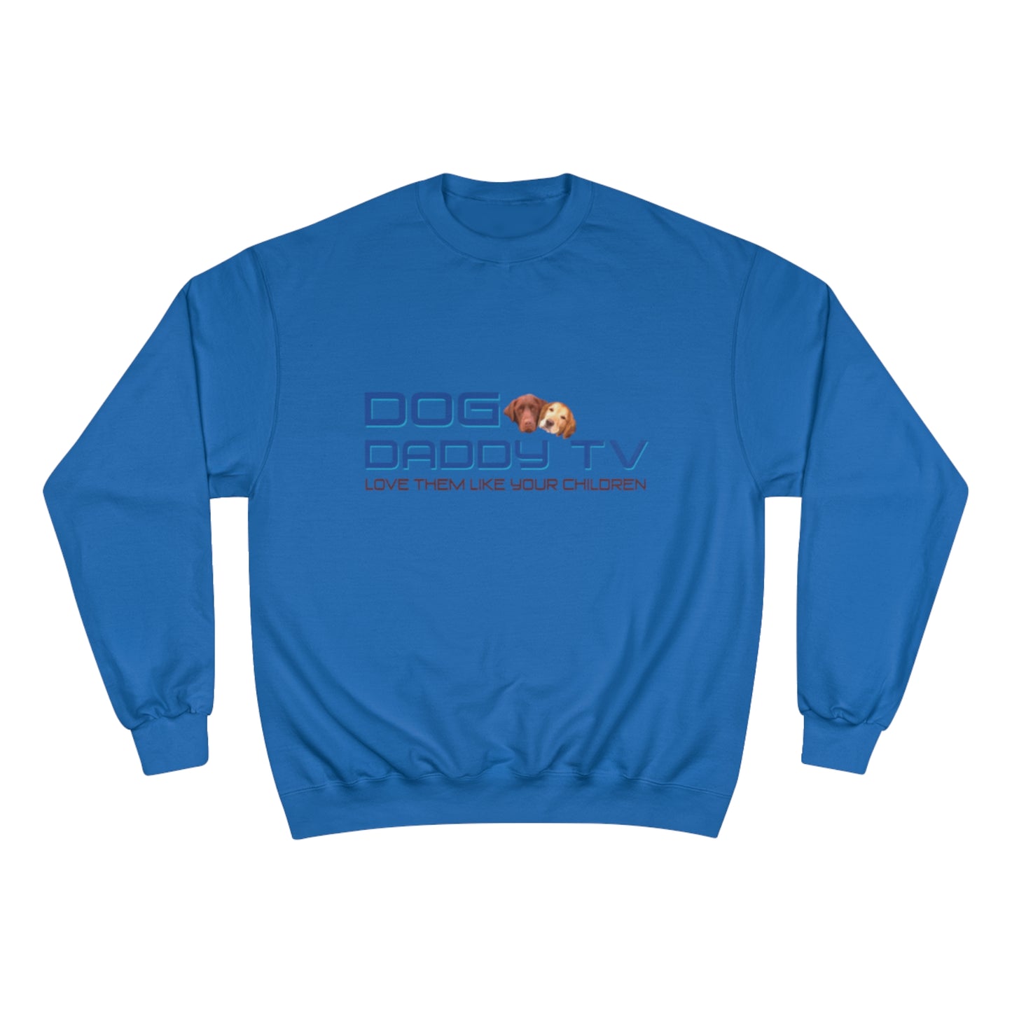 Champion Sweatshirt