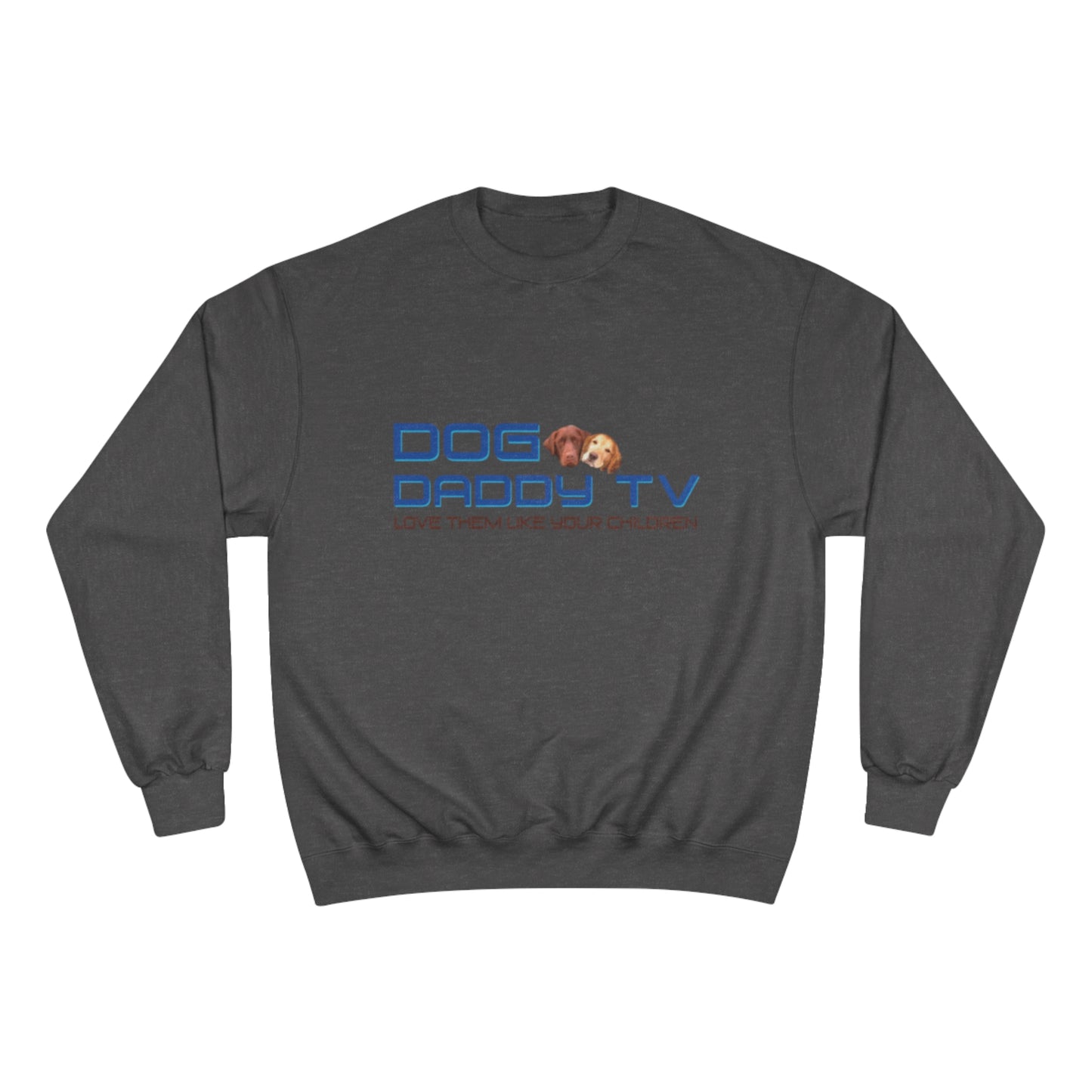 Champion Sweatshirt