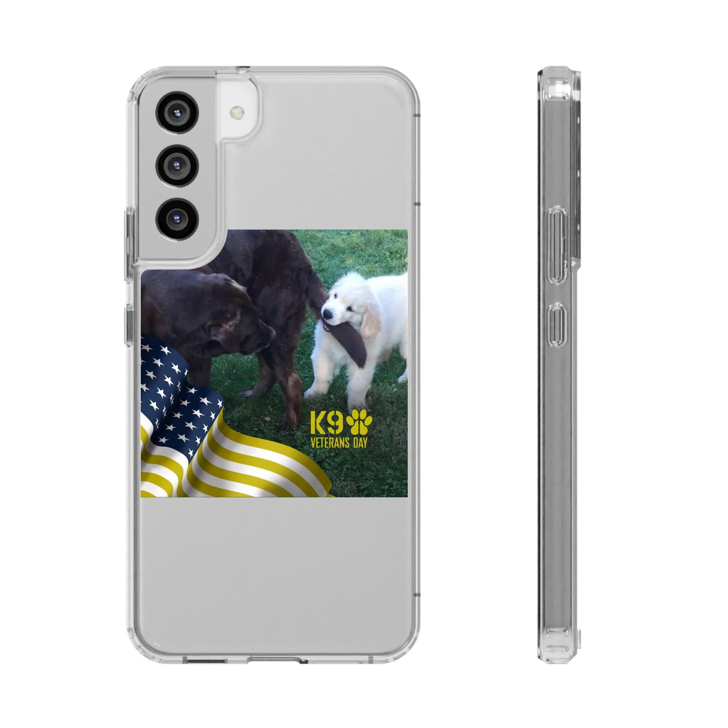 Clear Cases