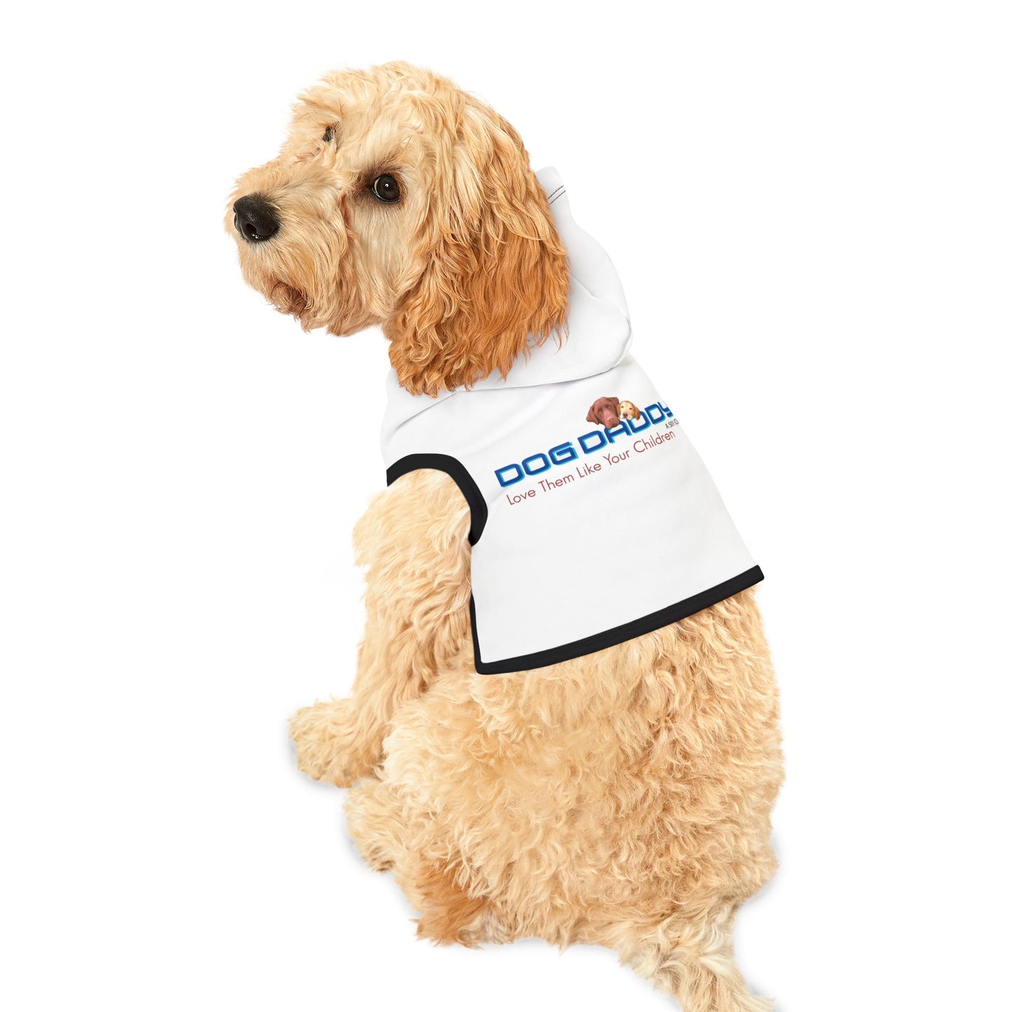 Pet Hoodie