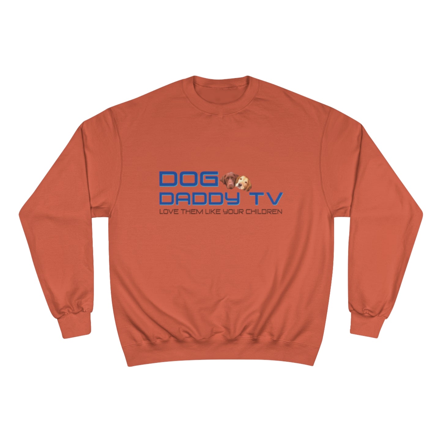 Champion Sweatshirt