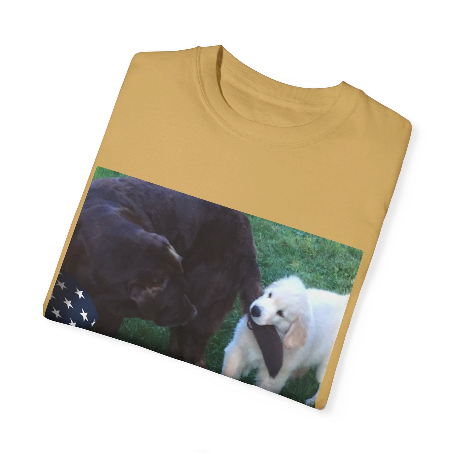 Unisex Garment-Dyed T-shirt
